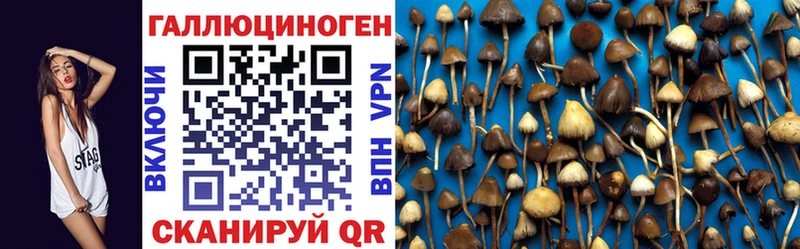 Псилоцибиновые грибы Magic Shrooms  Шагонар 